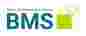Berlin Mathematical School logo