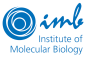 The Institute of Molecular Biology logo